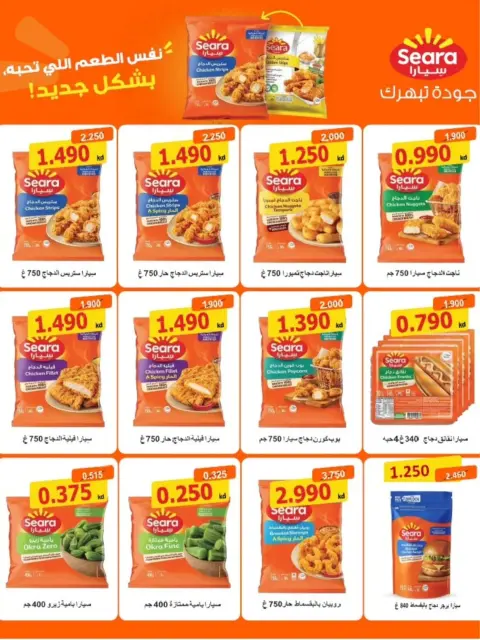 صفحة 22