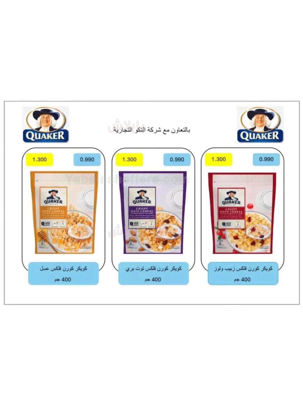 صفحة 17