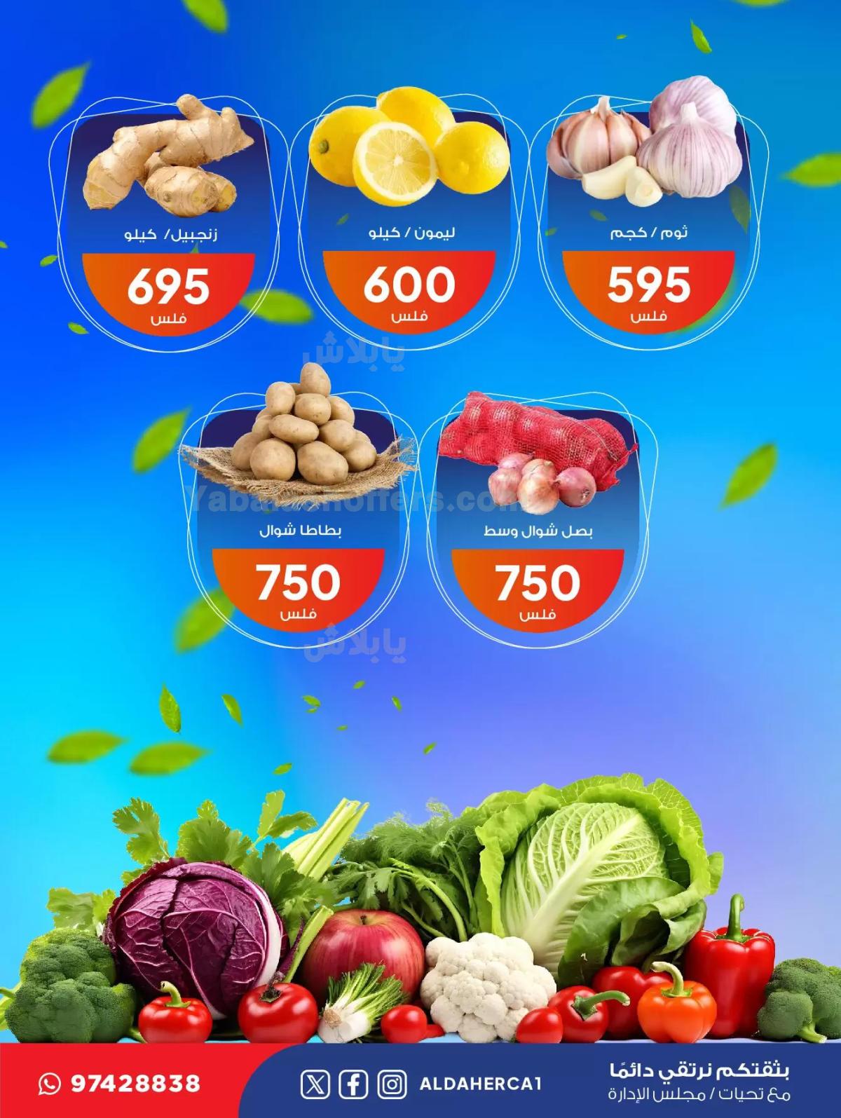 صفحة 3