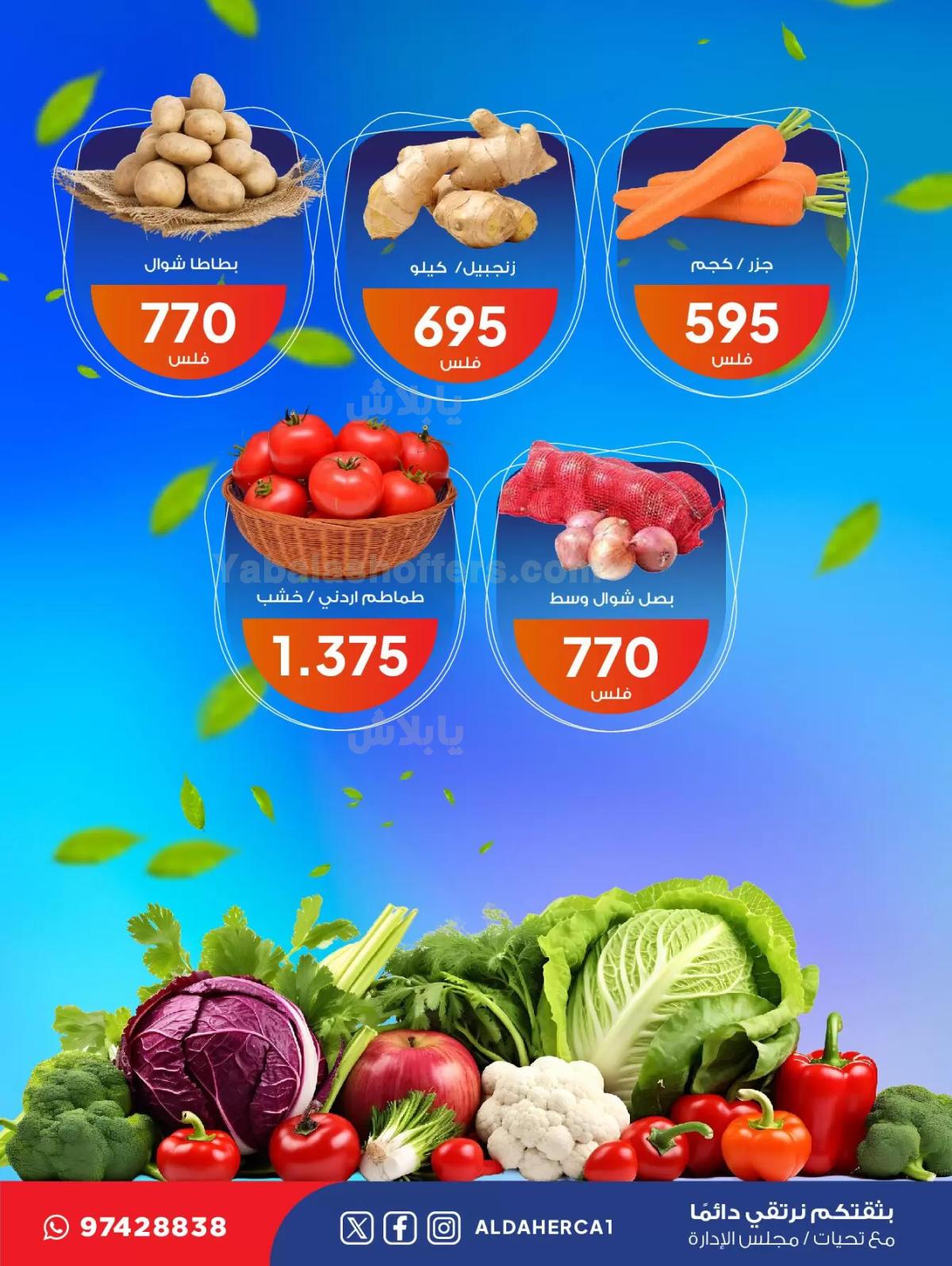 صفحة 3