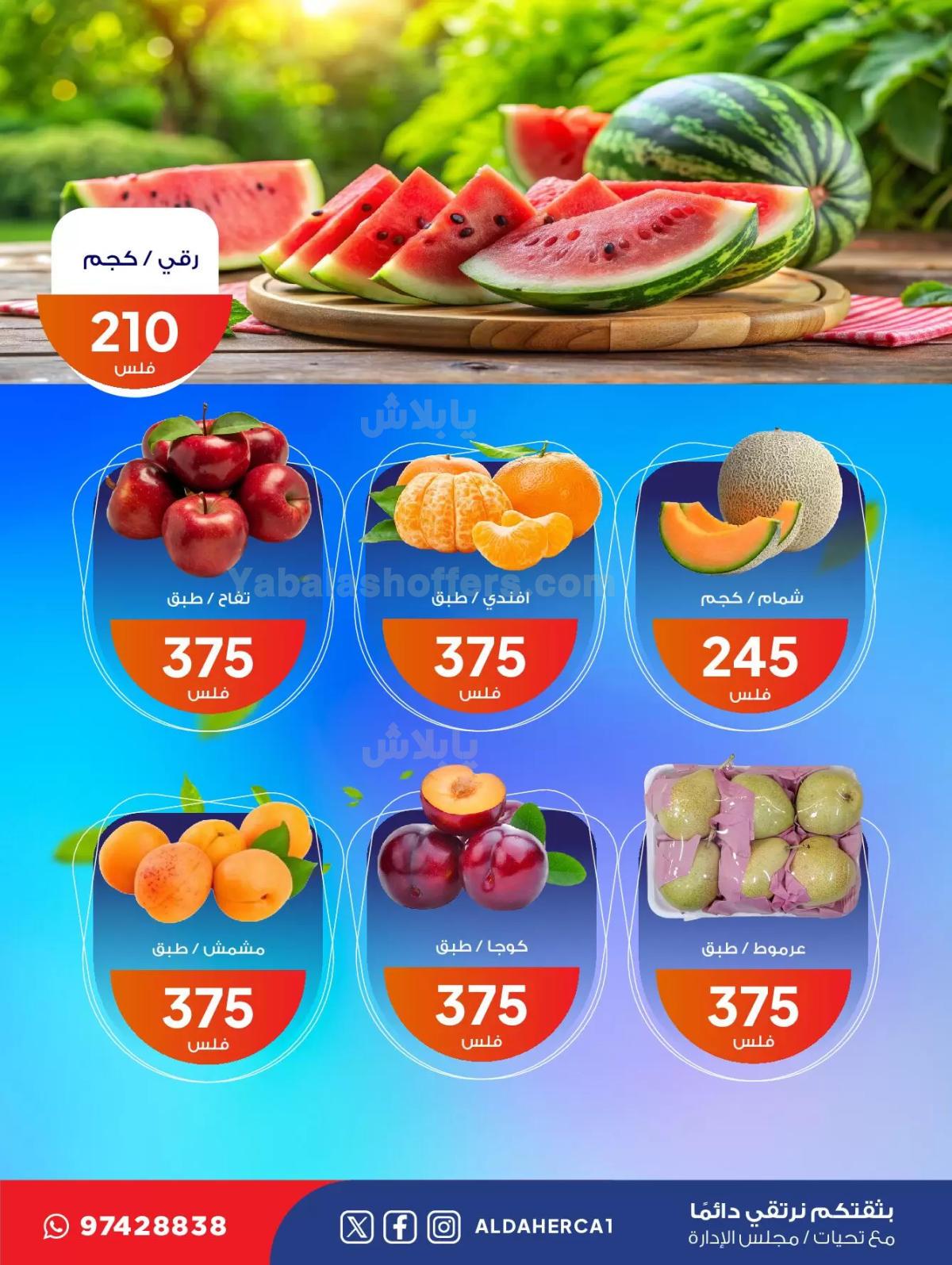 صفحة 4