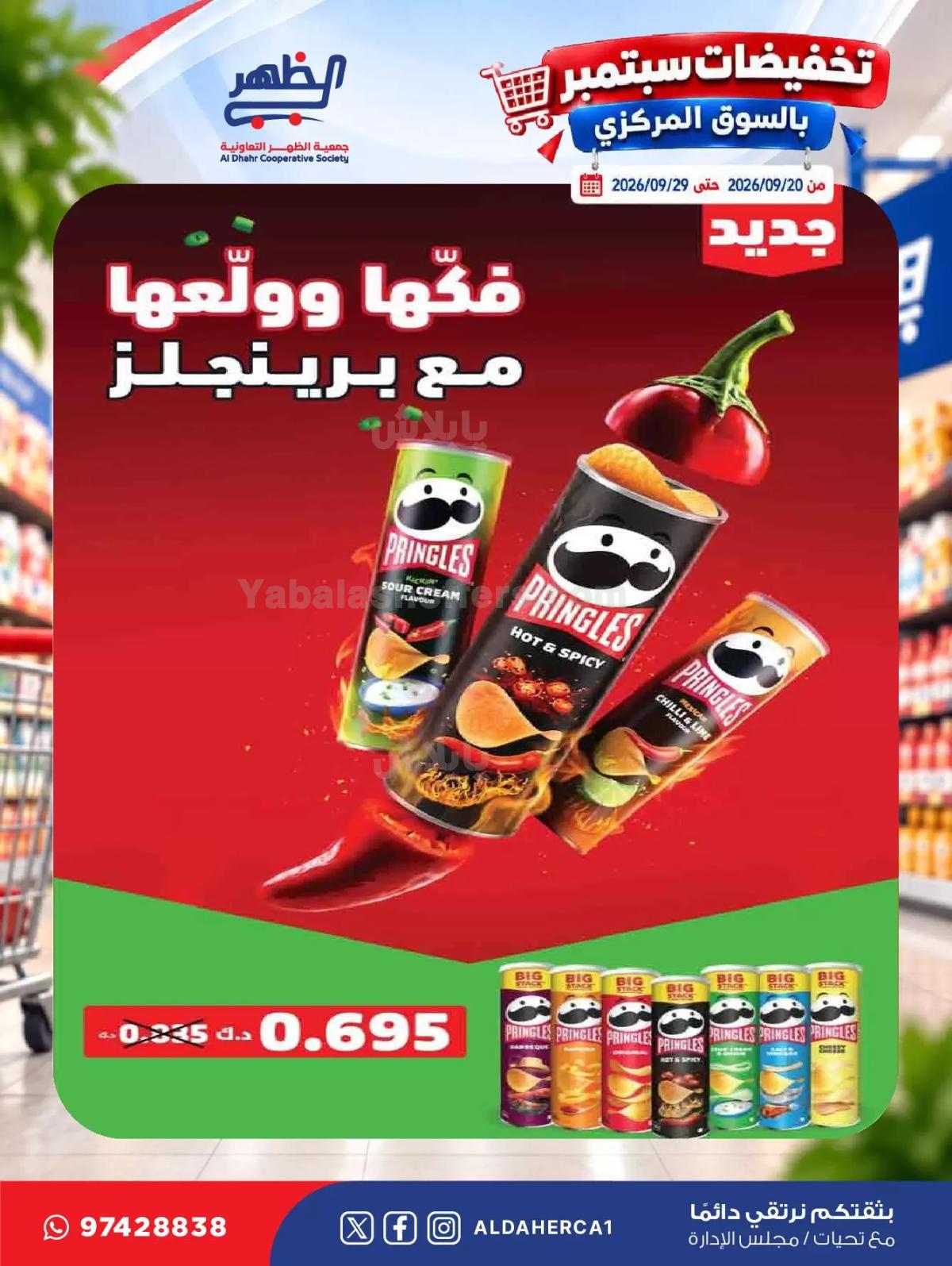 صفحة 8