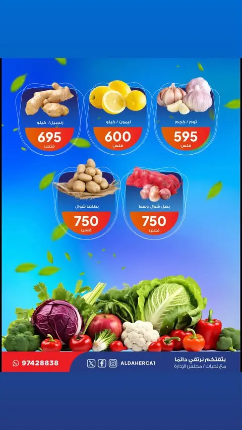 صفحة 3