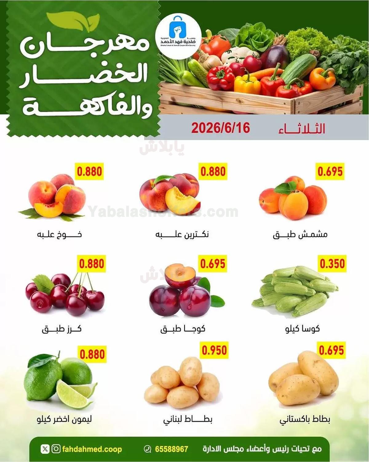 صفحة 3