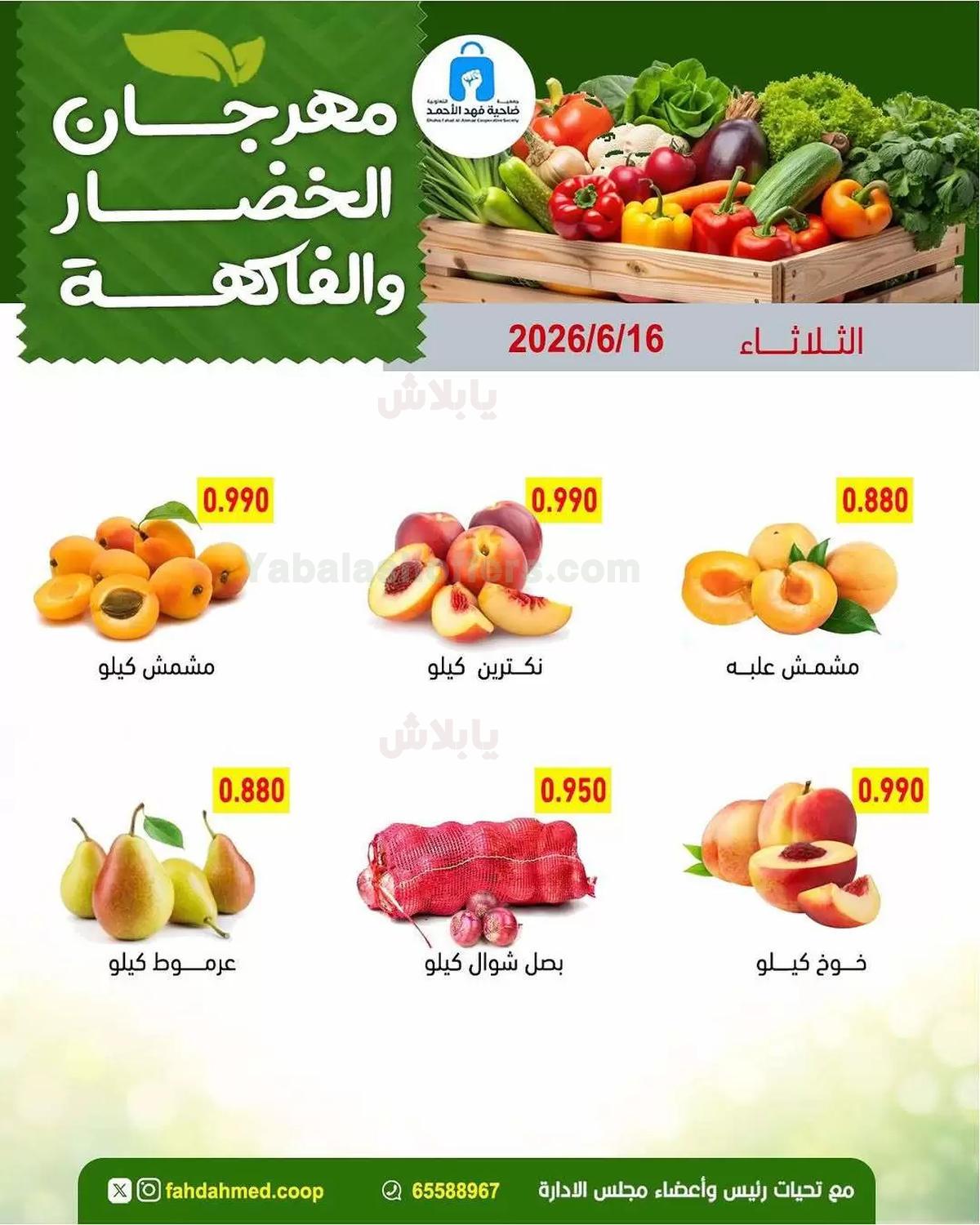 صفحة 4