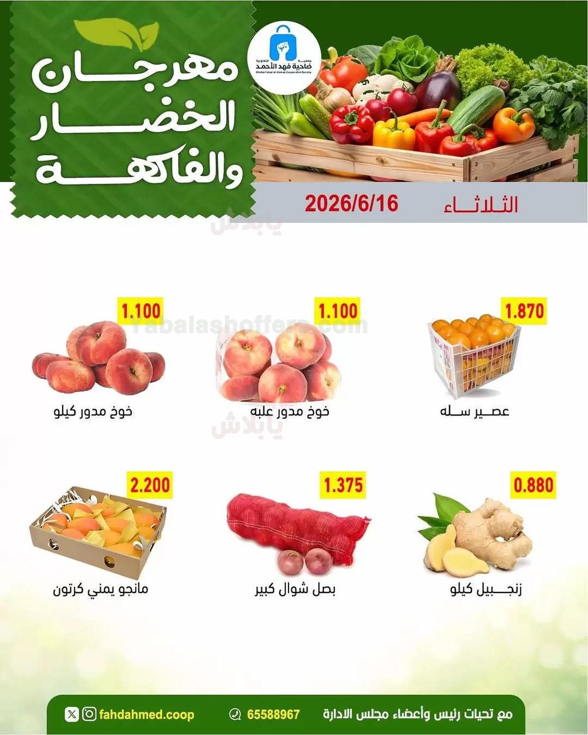 صفحة 5