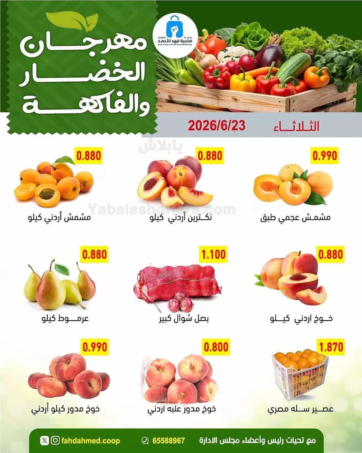 صفحة 4