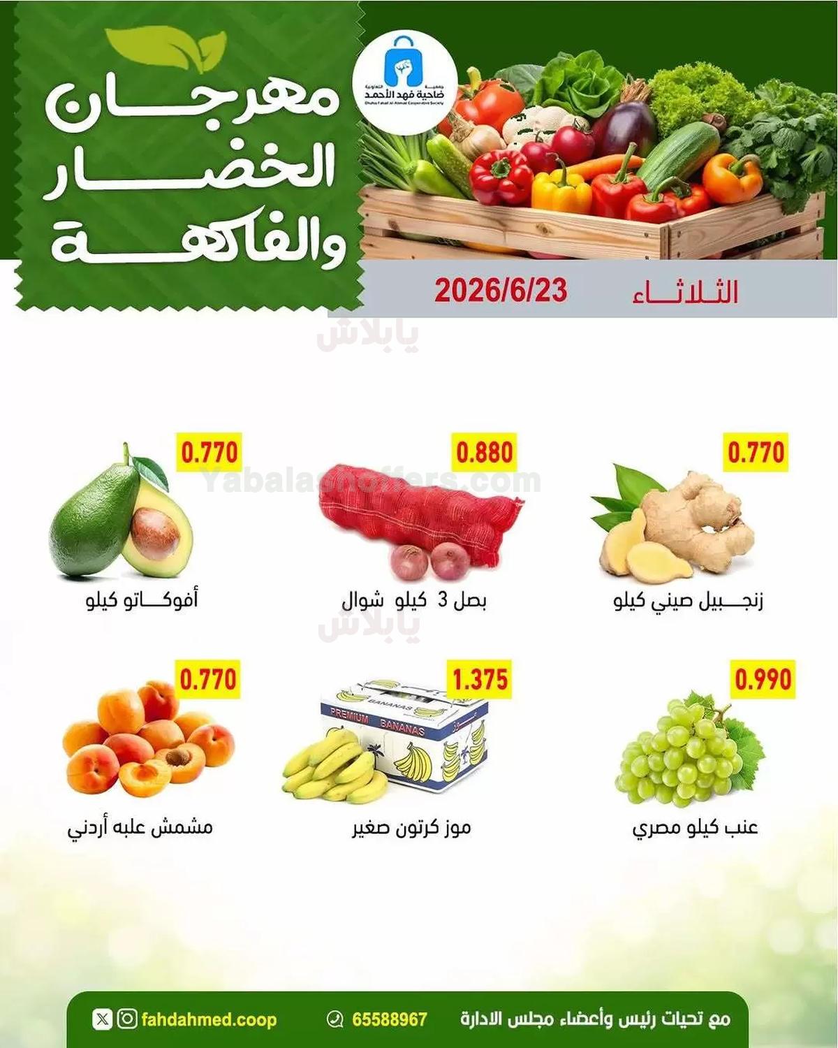 صفحة 5
