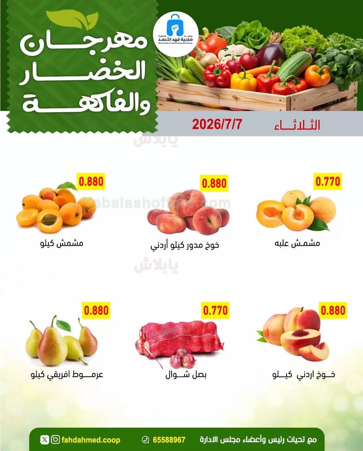 صفحة 4