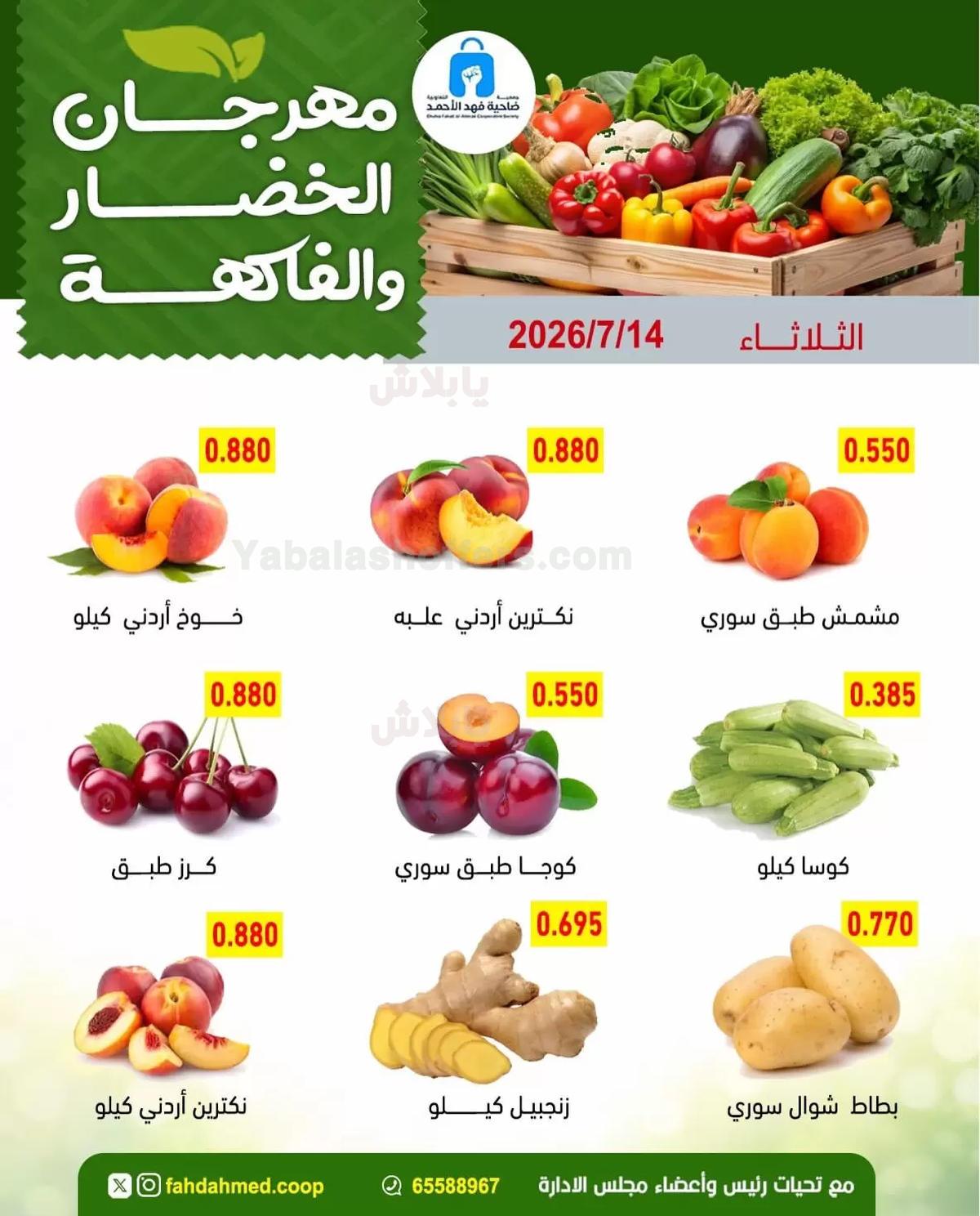صفحة 3