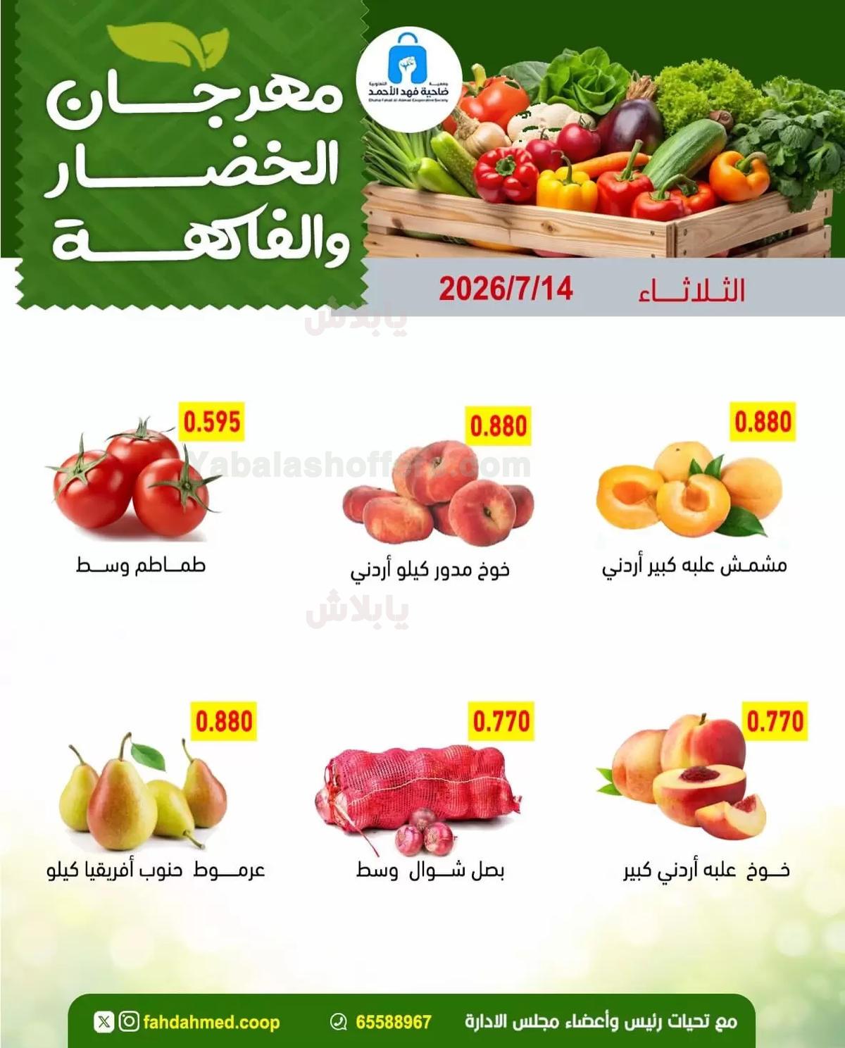 صفحة 4