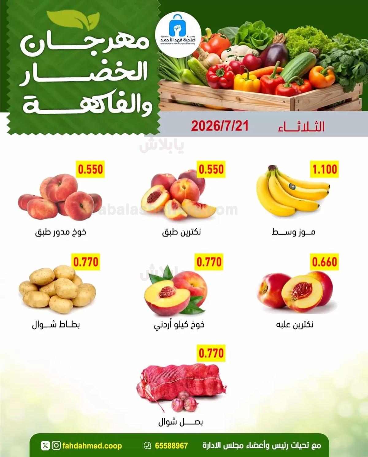 صفحة 4