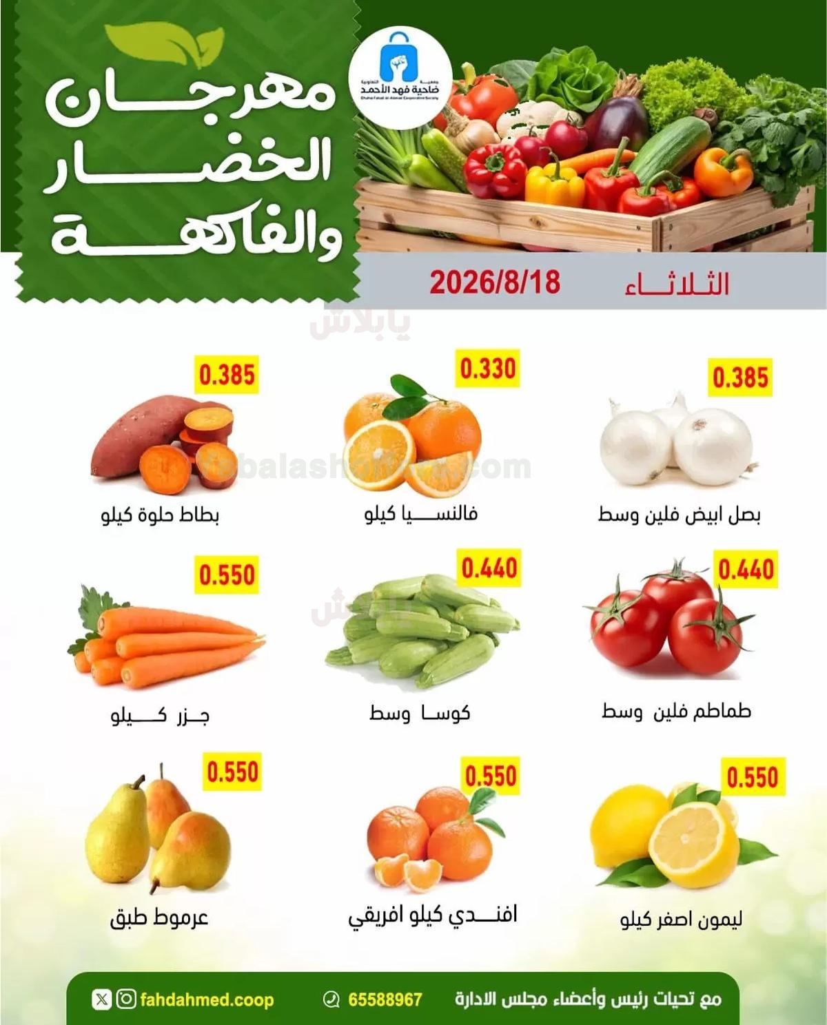 صفحة 3