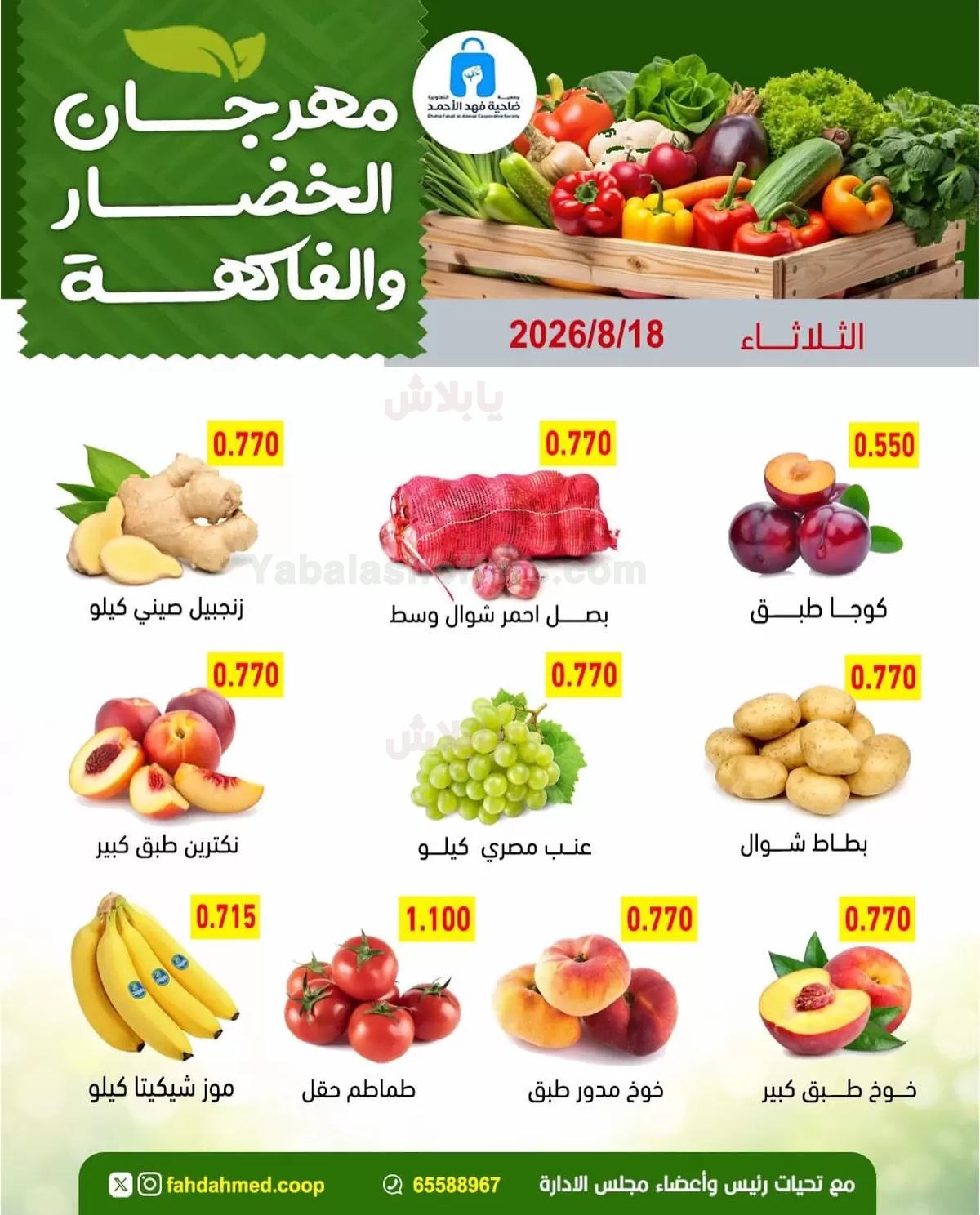 صفحة 4