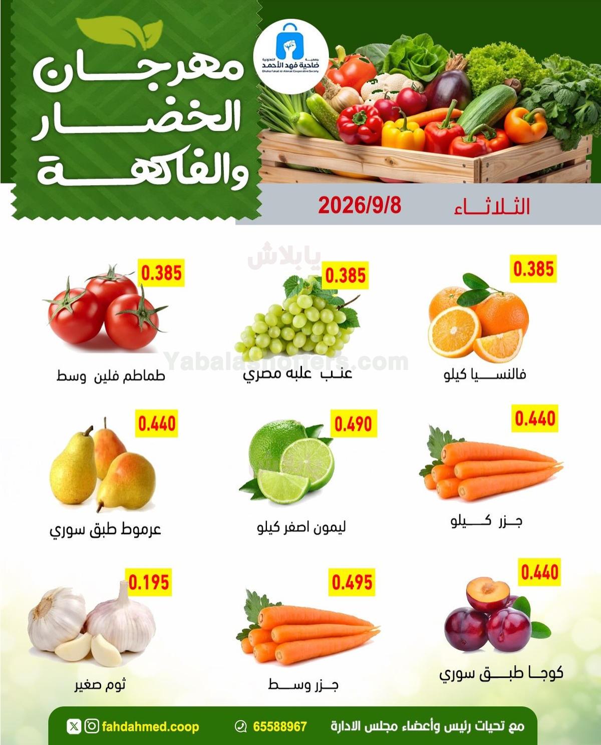 صفحة 3
