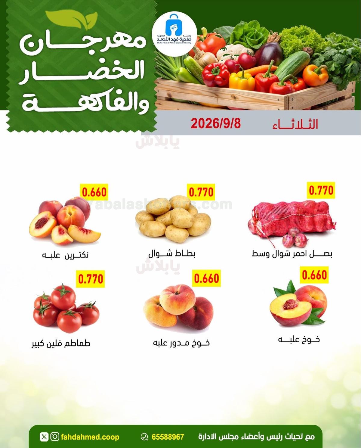 صفحة 4