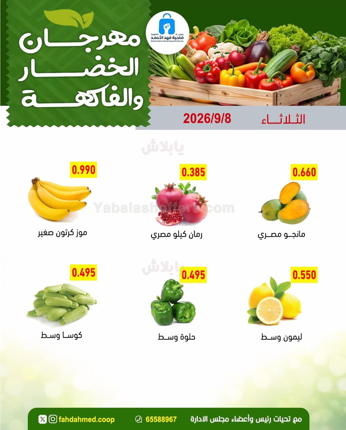 صفحة 5