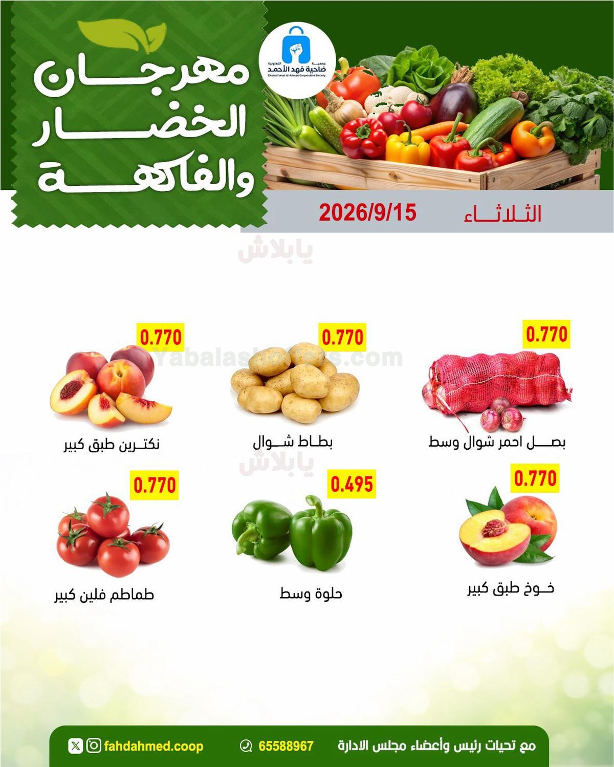 صفحة 4