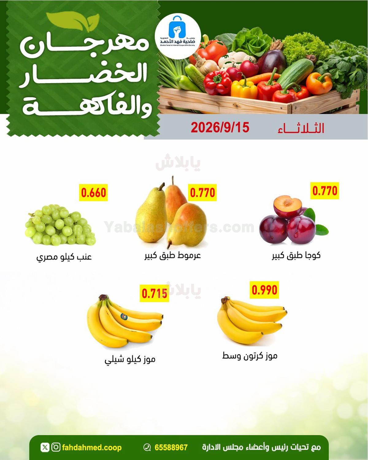 صفحة 5
