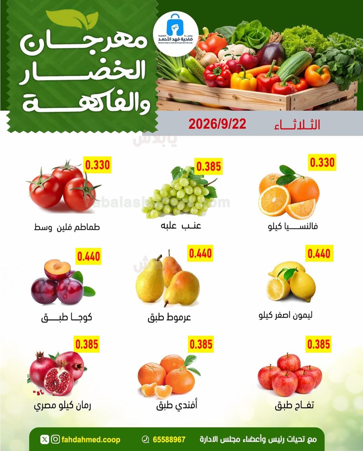 صفحة 3