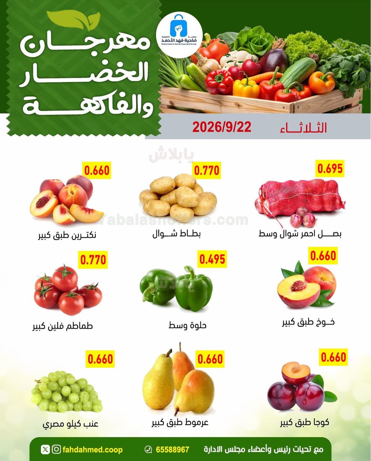 صفحة 4