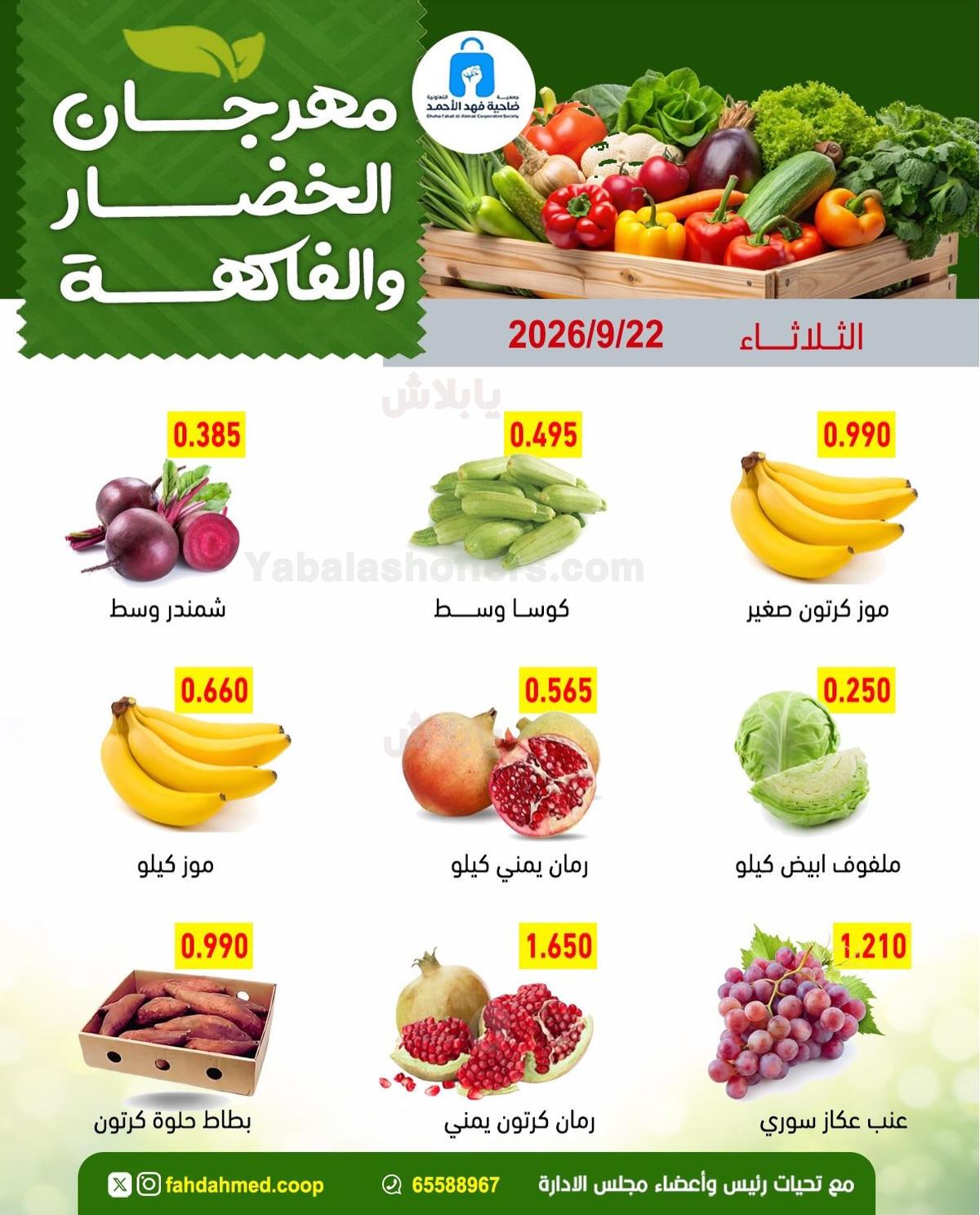 صفحة 5