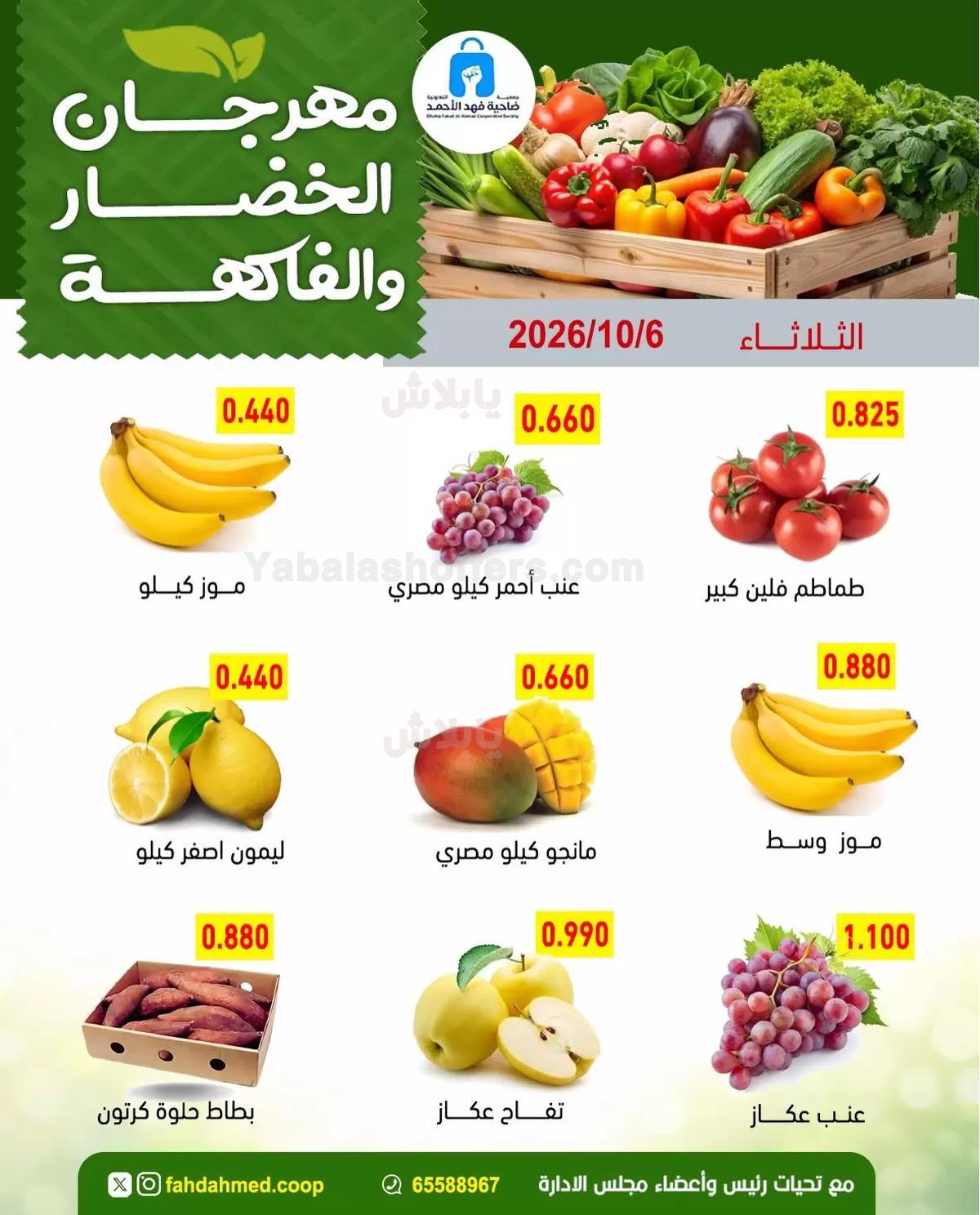 صفحة 4