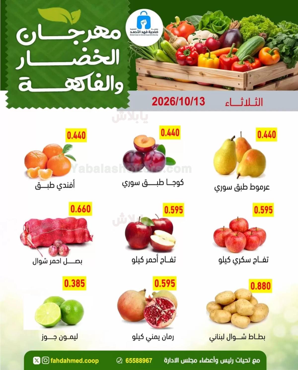 صفحة 3