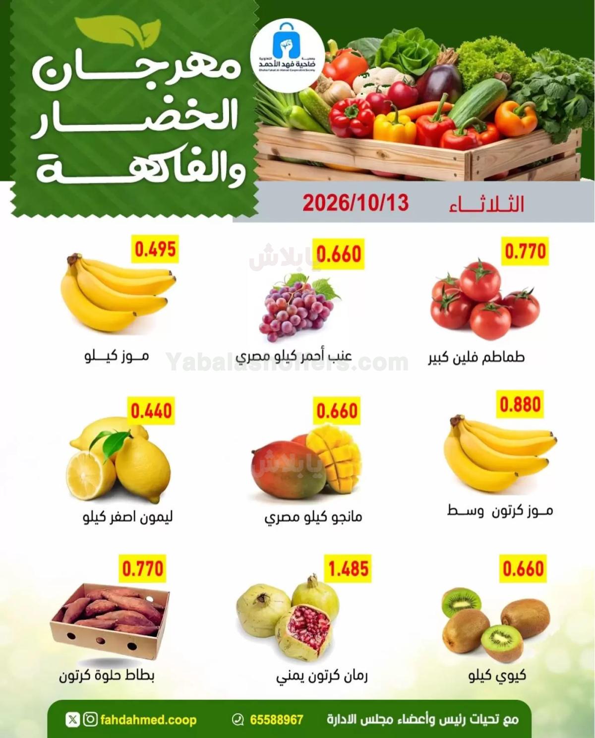 صفحة 4