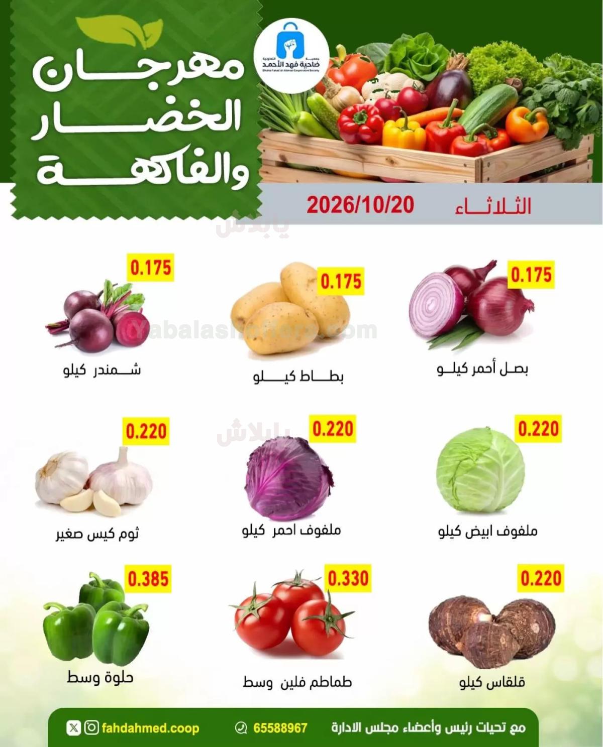 صفحة 2