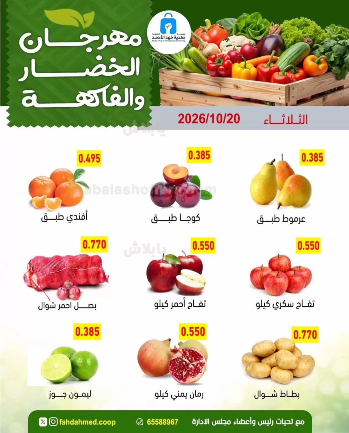 صفحة 3