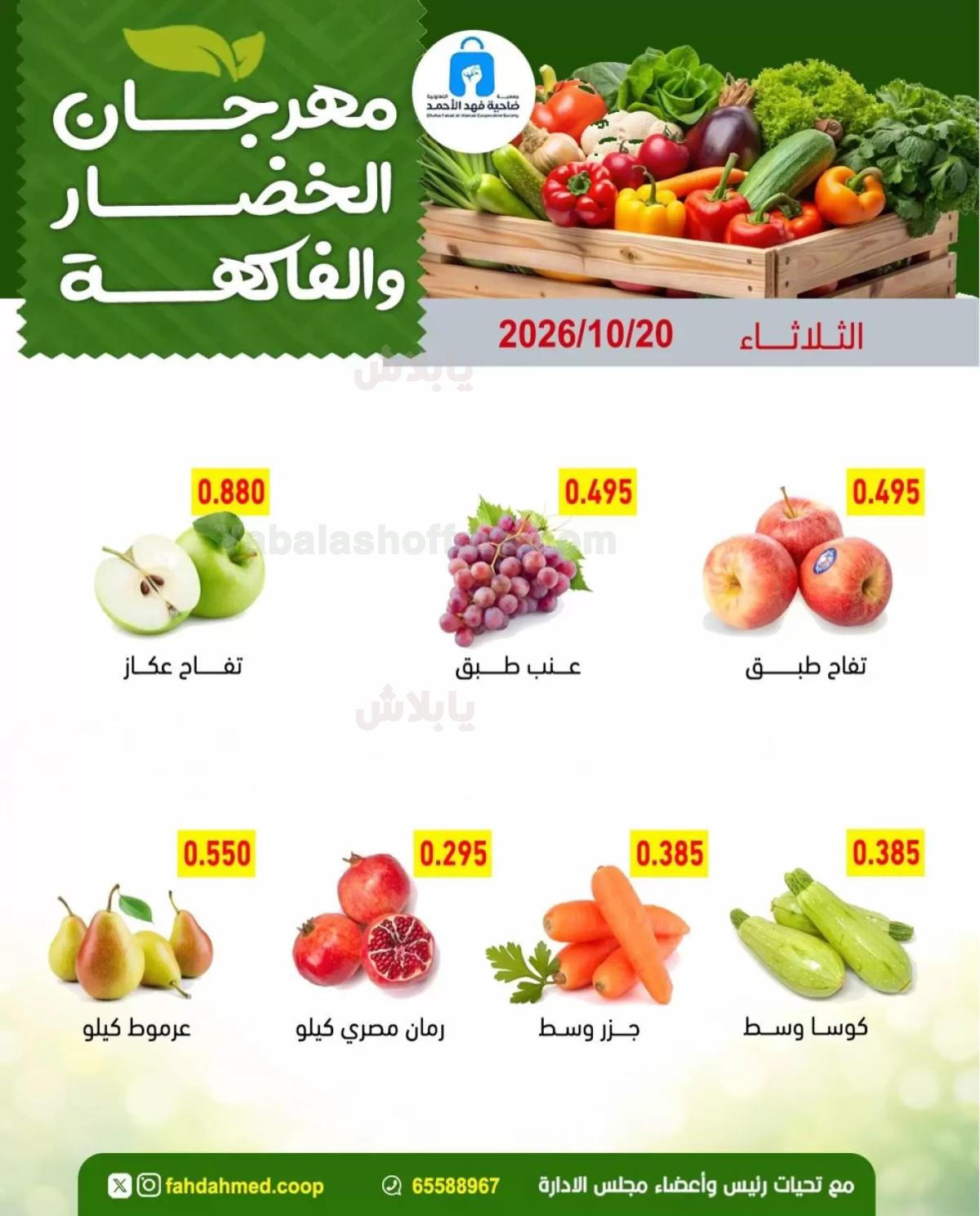 صفحة 5