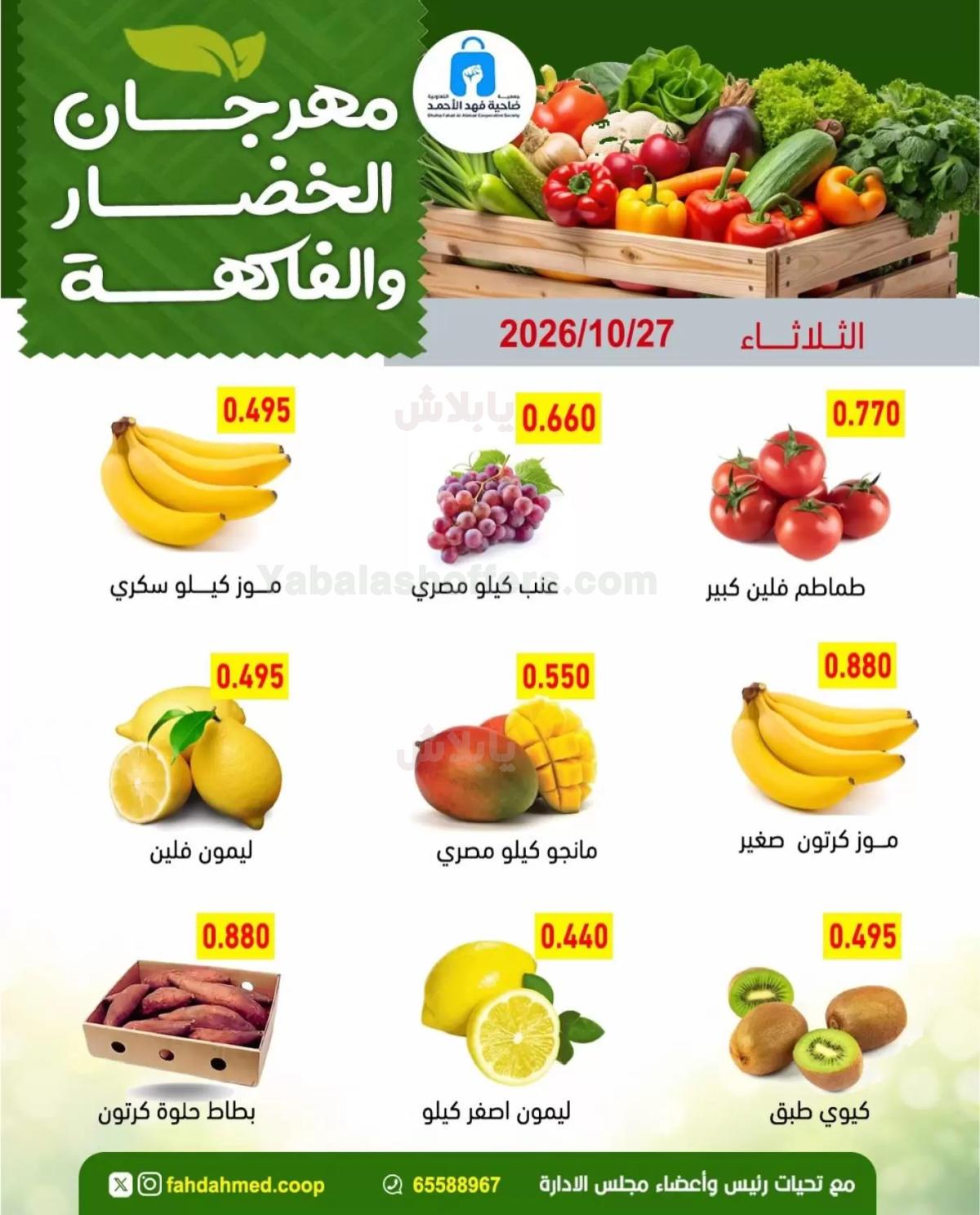 صفحة 4