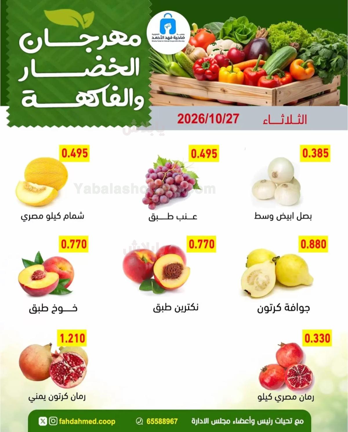 صفحة 5
