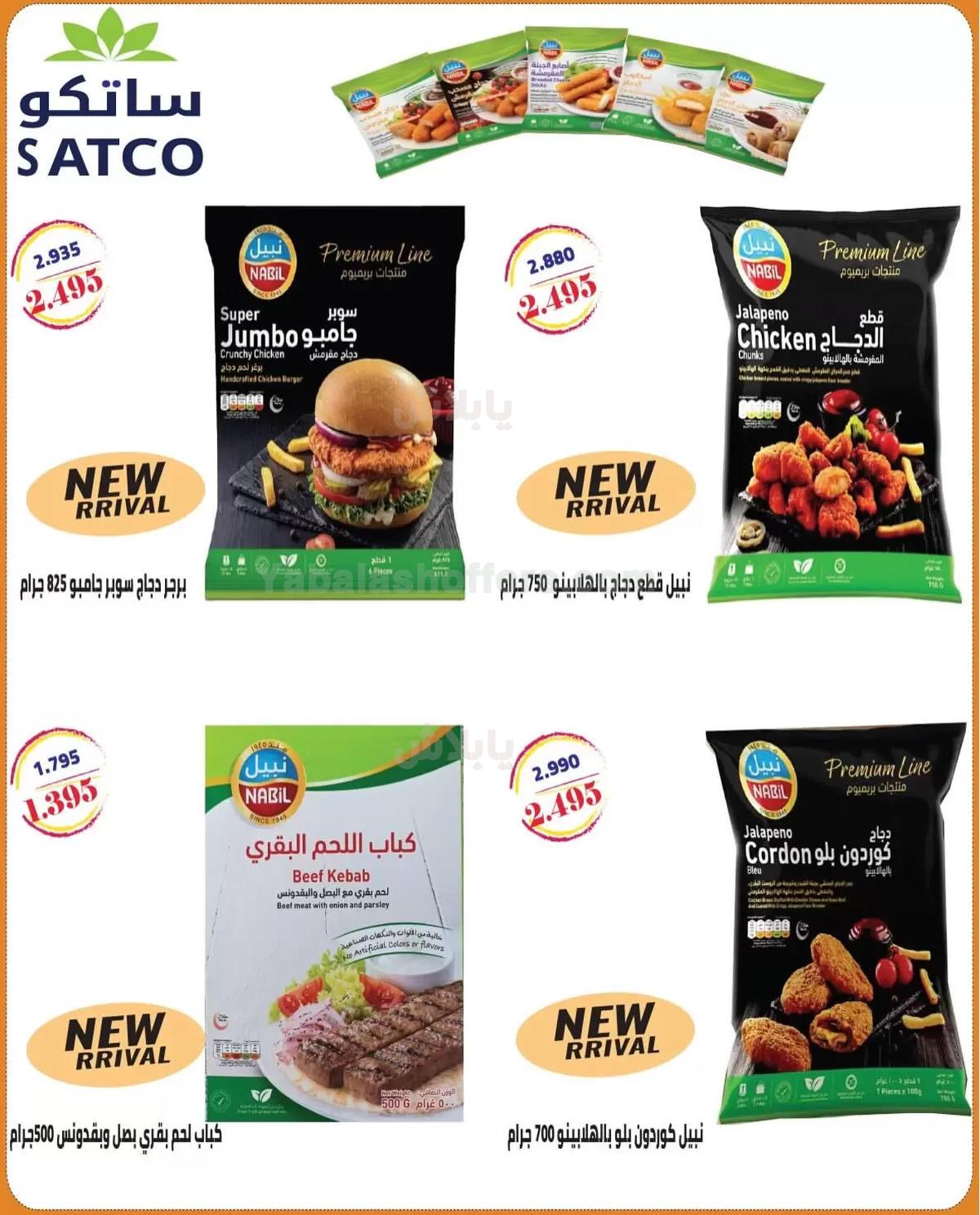 صفحة 4