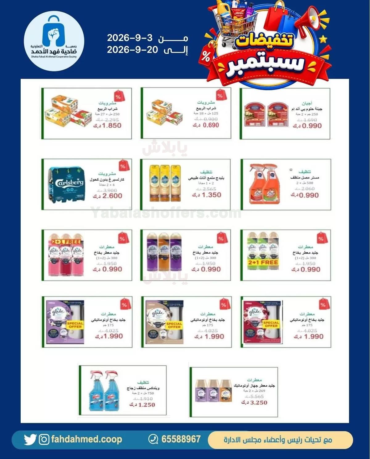 صفحة 19