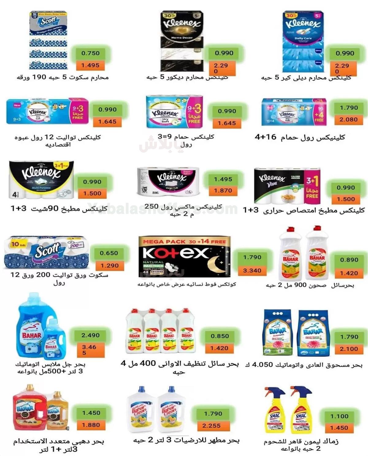صفحة 29