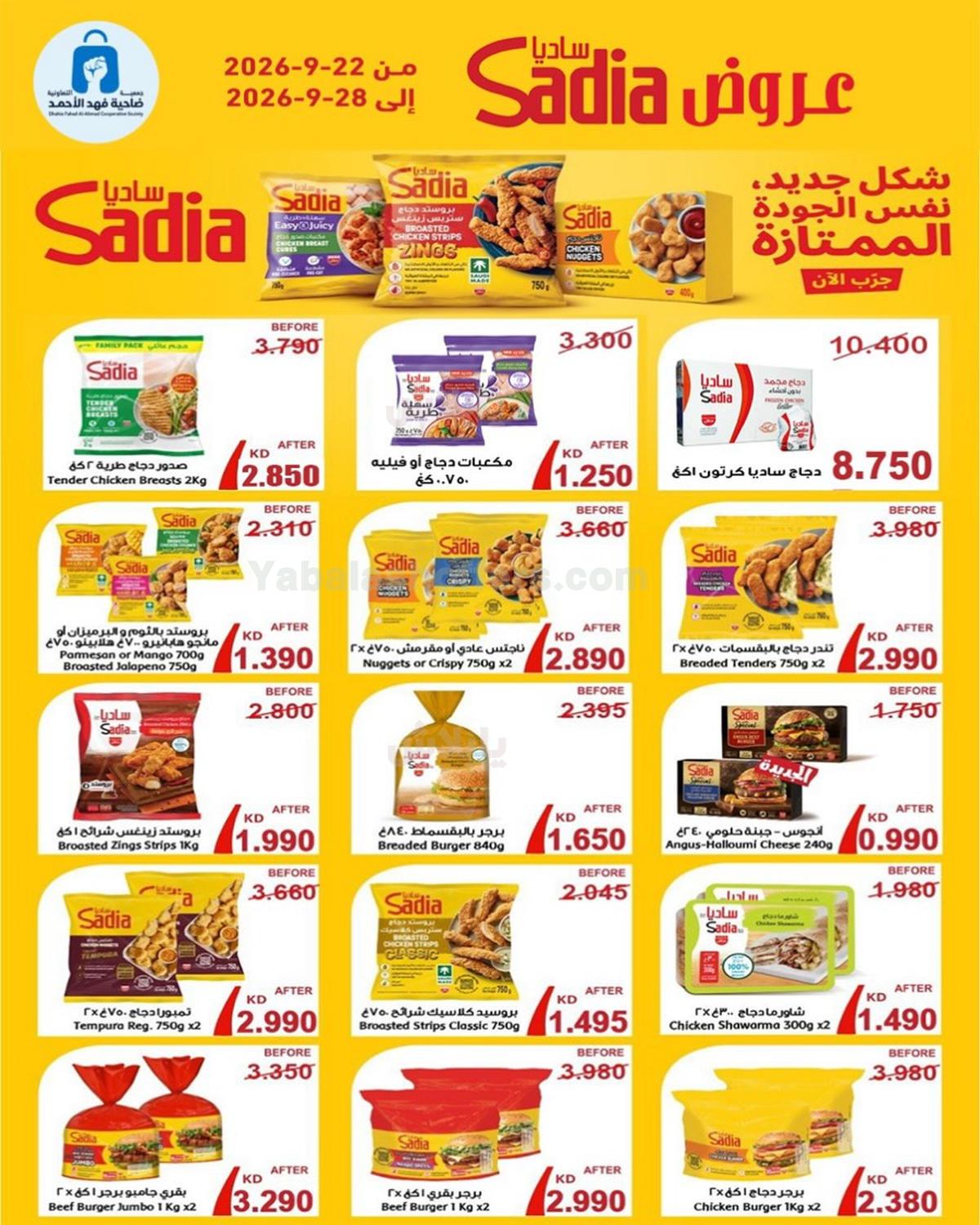 صفحة 1