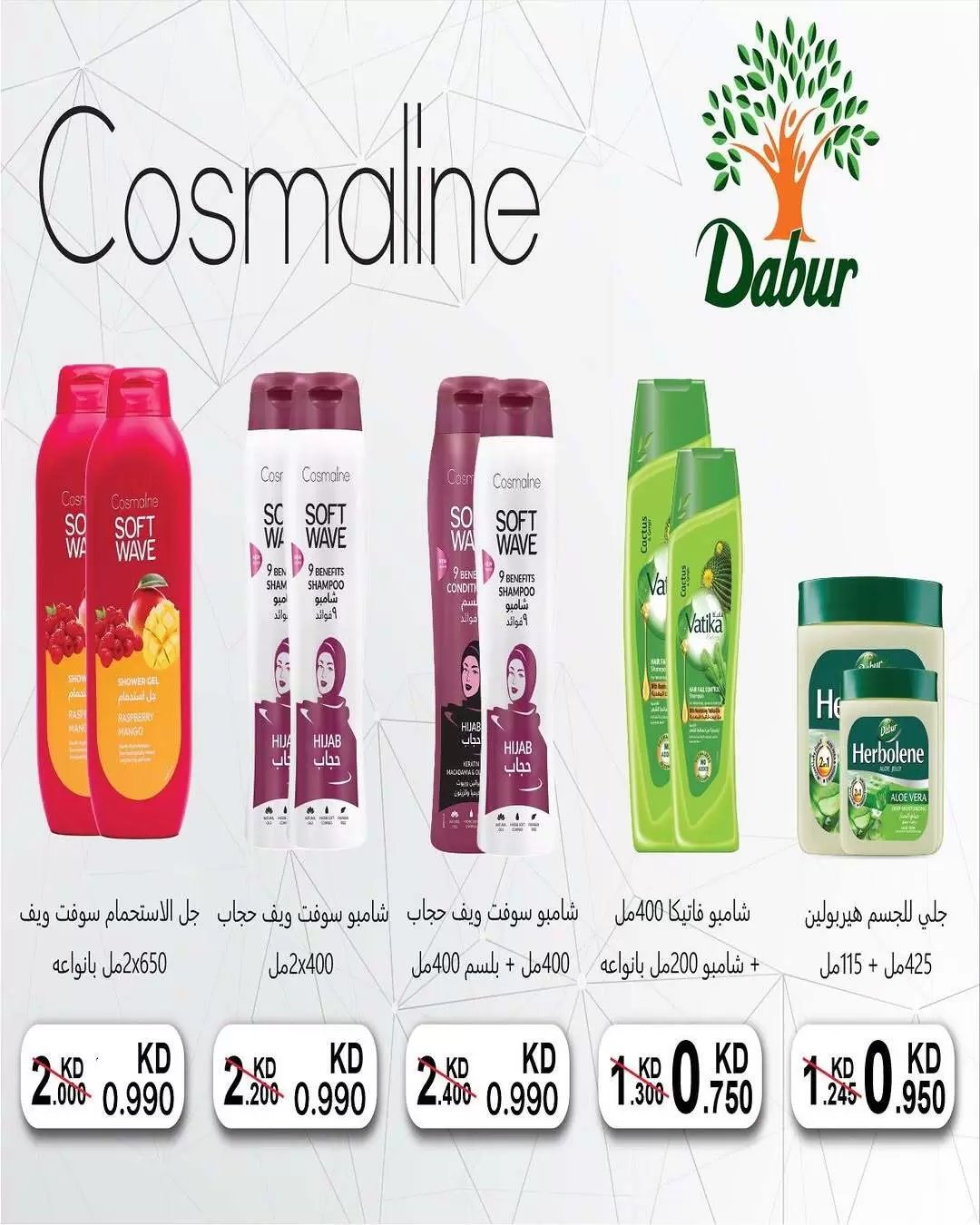 صفحة 18