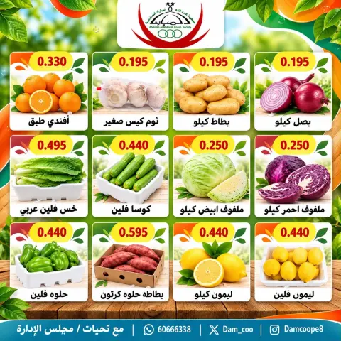 صفحة 8