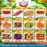 صفحة 13