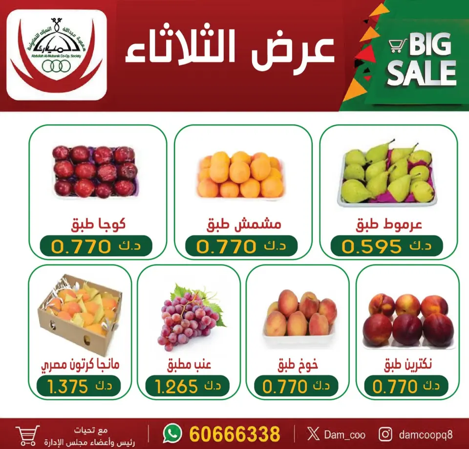 صفحة 1
