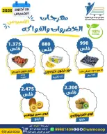 صفحة 16
