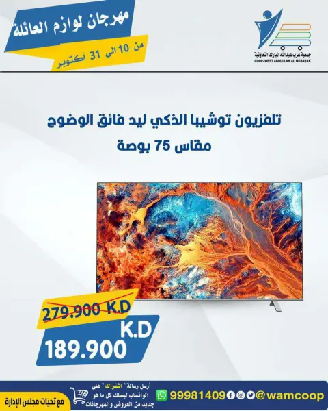 صفحة 8