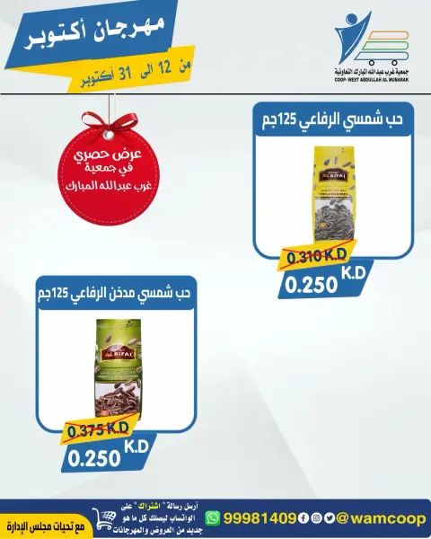 صفحة 10