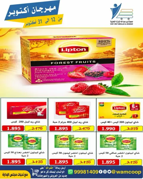 صفحة 41