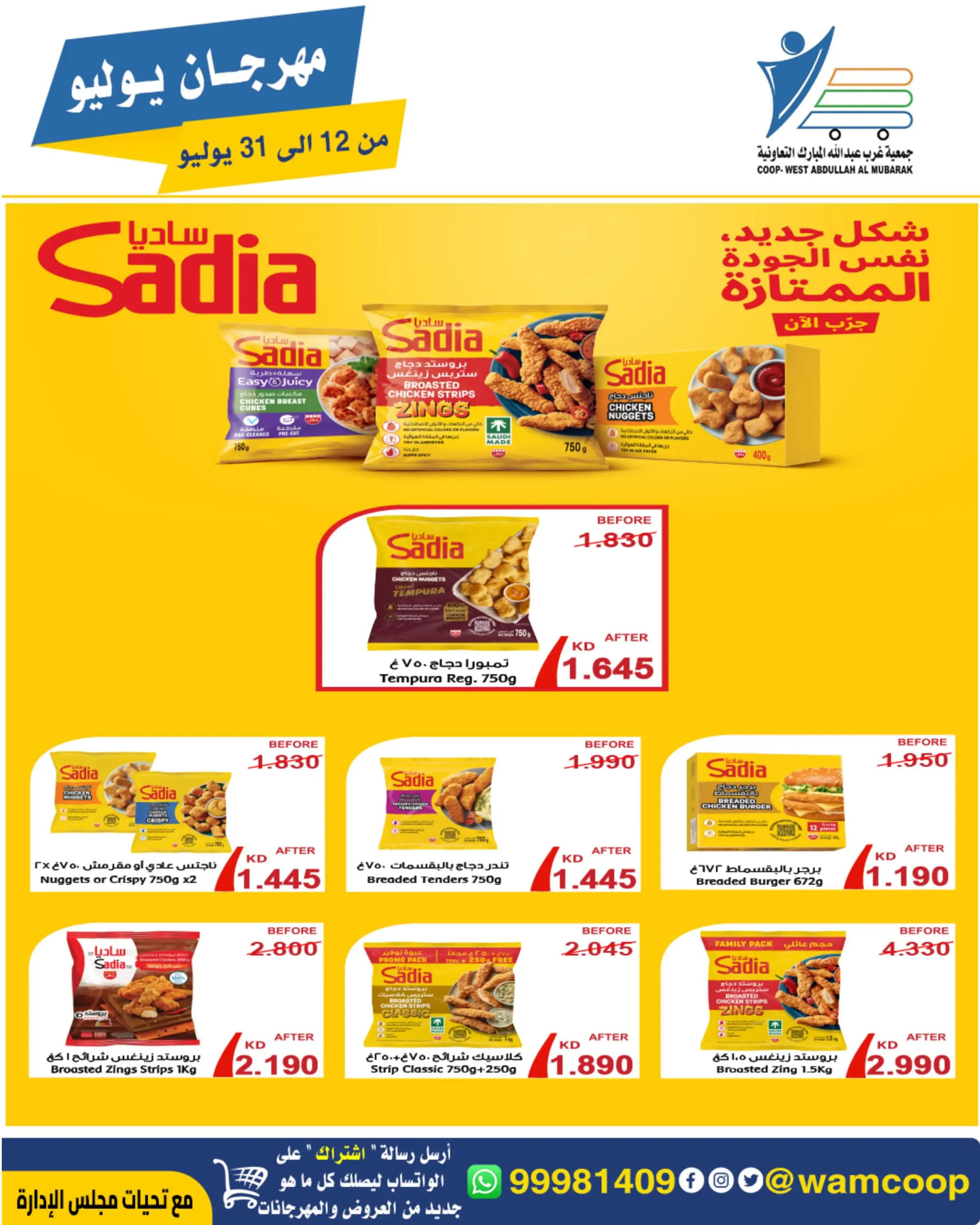 صفحة 29