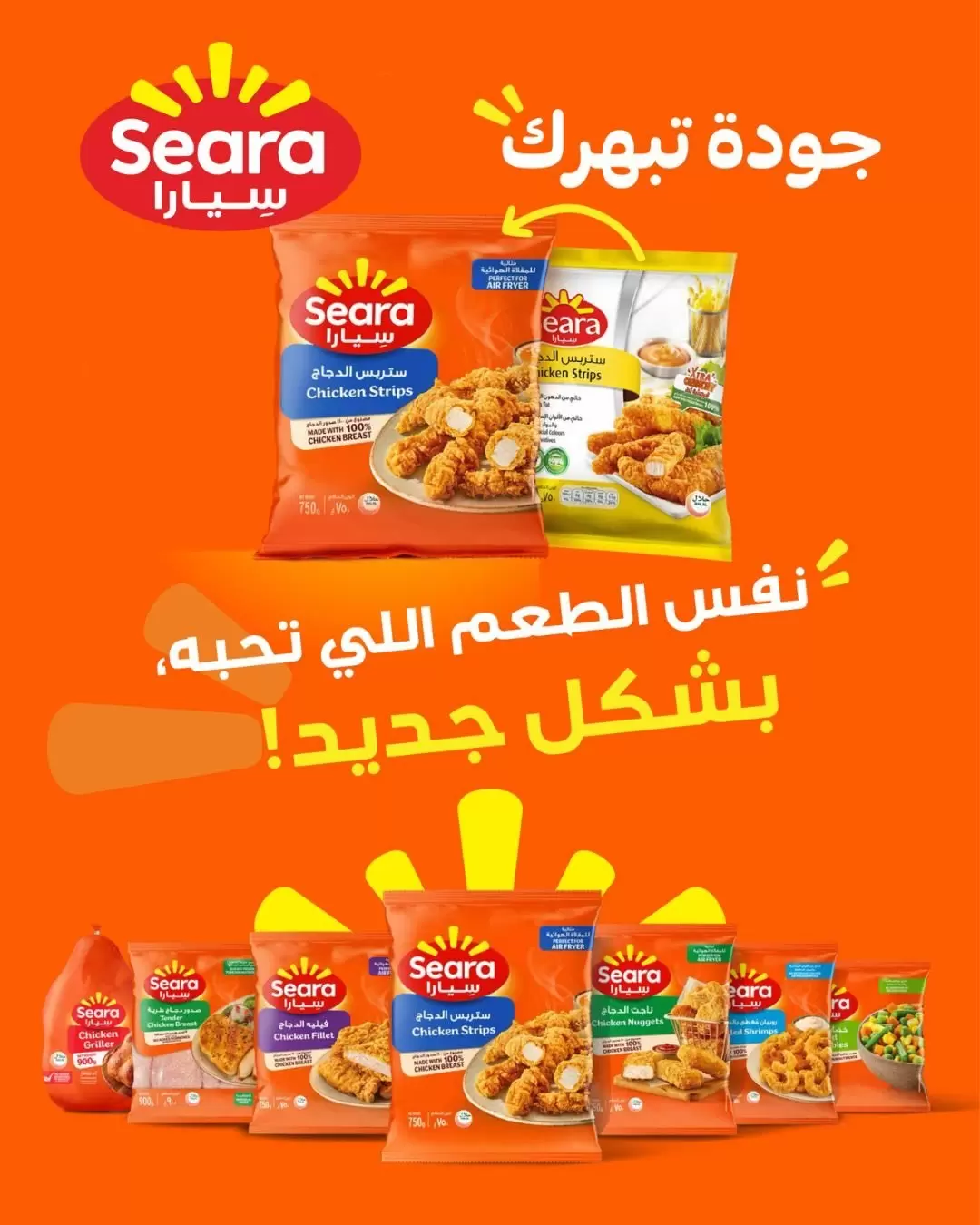 صفحة 8