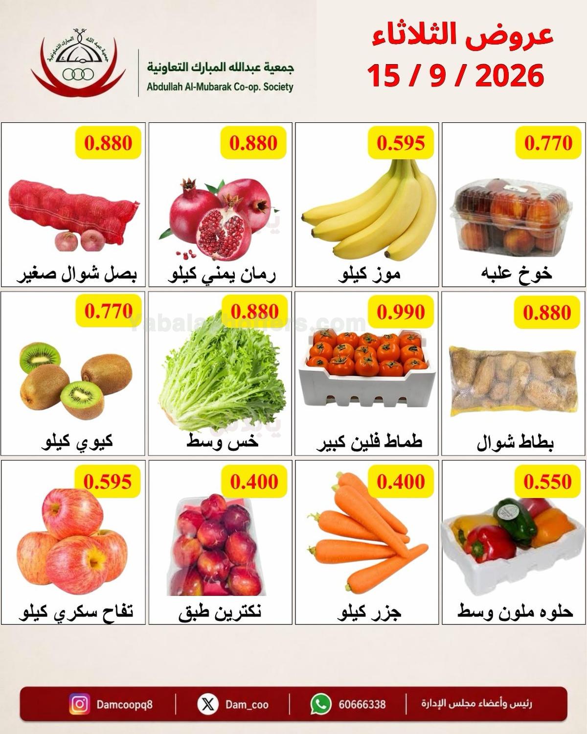 صفحة 3