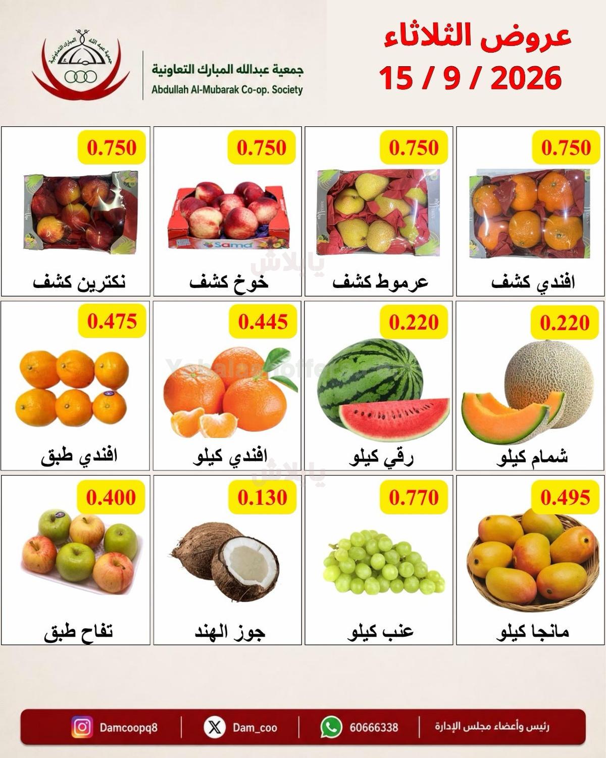 صفحة 4